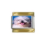 Peke Poodle  Gold Trim Italian Charm (9mm)