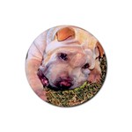 Shar Pei  Rubber Round Coaster (4 pack)