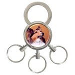 shetland 3-Ring Key Chain