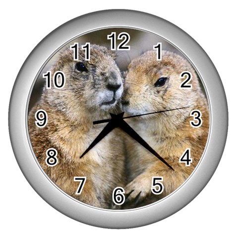 groundhogs Front