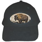 Buffalo Bison Black Cap