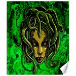 Medusa Canvas 20  x 24 