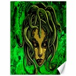 Medusa Canvas 36  x 48 