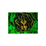 Medusa 5  x 7  Desktop Photo Plaque 