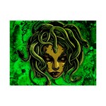 Medusa 6  x 8  Desktop Photo Plaque 