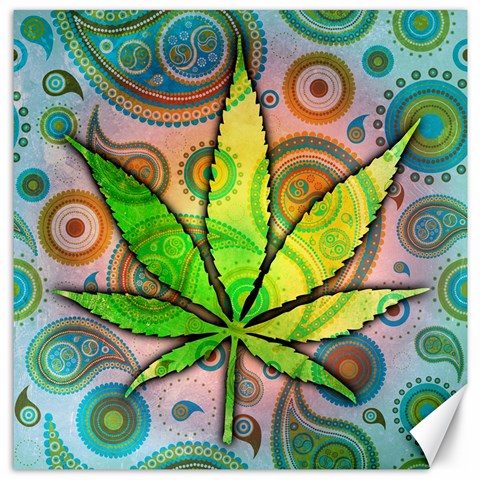 Ganja Canvas 20  x 20  from ArtsNow.com 19 x19.27  Canvas - 1