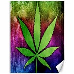 Pot Leaf Canvas 36  x 48 