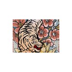 White Tiger 5  x 7  Desktop Photo Plaque 