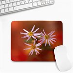 Flower-53 Small Mousepad