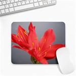 Flower-105 Small Mousepad