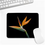 Flower-106 Small Mousepad