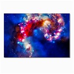 Colorful Cosmos Postcard 4 x 6  (Pkg of 10)