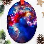 Colorful Cosmos Oval Ornament (Two Sides)