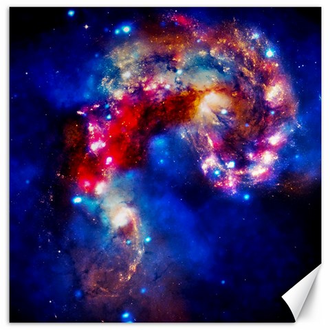 Colorful Cosmos Canvas 12  x 12  from ArtsNow.com 11.4 x11.56  Canvas - 1