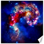 Colorful Cosmos Canvas 12  x 12 