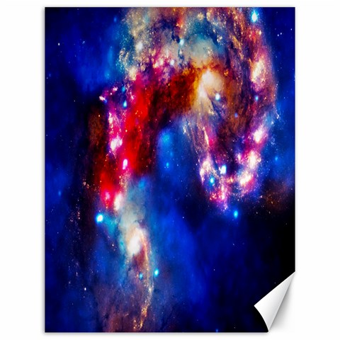 Colorful Cosmos Canvas 12  x 16  from ArtsNow.com 11.86 x15.41  Canvas - 1