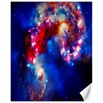 Colorful Cosmos Canvas 16  x 20 