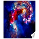 Colorful Cosmos Canvas 20  x 24 