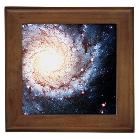 Colorful Cosmos Framed Tile from ArtsNow.com Front