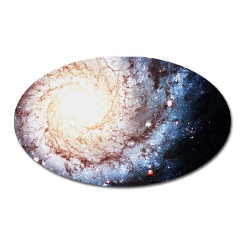 Colorful Cosmos Magnet (Oval) from ArtsNow.com Front