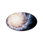 Colorful Cosmos Sticker Oval (10 pack)