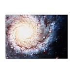 Colorful Cosmos Sticker A4 (10 pack)