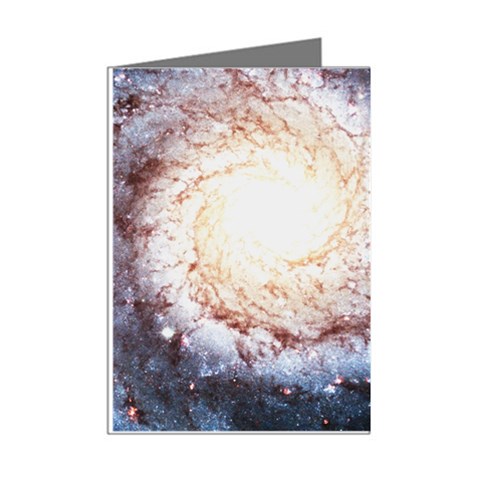 Colorful Cosmos Mini Greeting Cards (Pkg of 8) from ArtsNow.com Right