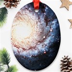 Colorful Cosmos Oval Ornament (Two Sides)