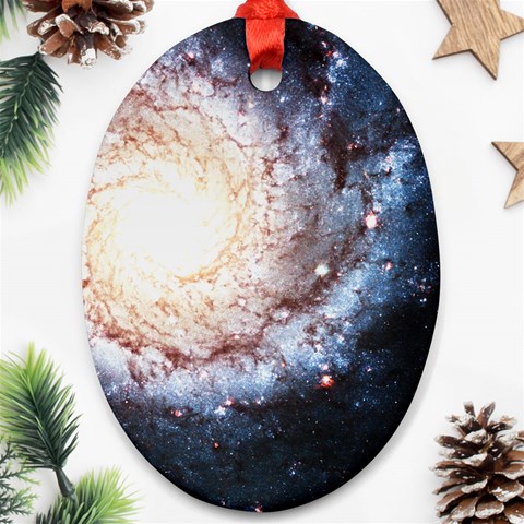 Colorful Cosmos Oval Ornament (Two Sides) from ArtsNow.com Back