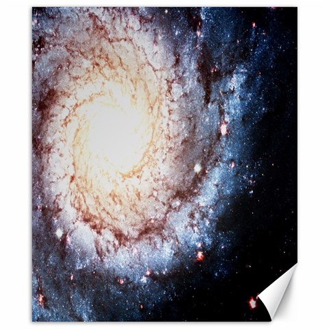 Colorful Cosmos Canvas 8  x 10  from ArtsNow.com 8.15 x9.66  Canvas - 1