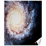 Colorful Cosmos Canvas 8  x 10 