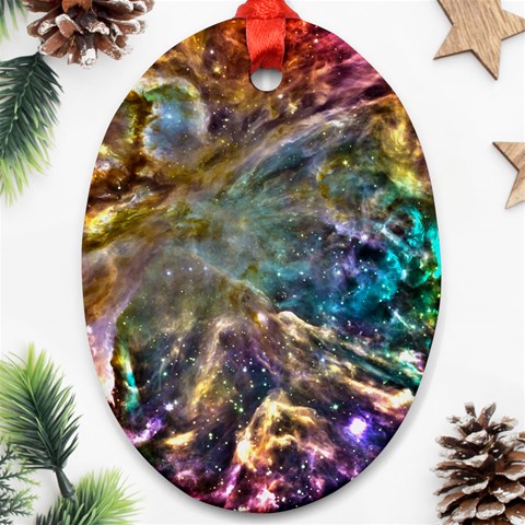 Colorful Cosmos Ornament (Oval) from ArtsNow.com Front