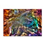 Colorful Cosmos Sticker A4 (10 pack)