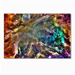 Colorful Cosmos Postcard 4 x 6  (Pkg of 10)