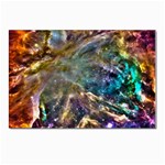 Colorful Cosmos Postcards 5  x 7  (Pkg of 10)