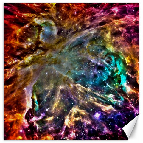 Colorful Cosmos Canvas 12  x 12  from ArtsNow.com 11.4 x11.56  Canvas - 1