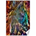 Colorful Cosmos Canvas 12  x 18 