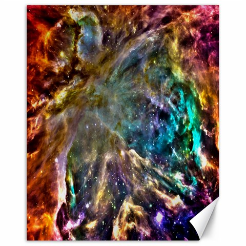 Colorful Cosmos Canvas 16  x 20  from ArtsNow.com 15.75 x19.29  Canvas - 1