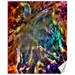 Colorful Cosmos Canvas 16  x 20 