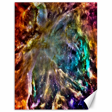 Colorful Cosmos Canvas 18  x 24  from ArtsNow.com 17.8 x23.08  Canvas - 1