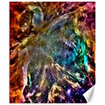 Colorful Cosmos Canvas 20  x 24 