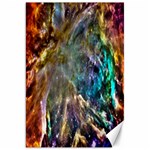 Colorful Cosmos Canvas 20  x 30 