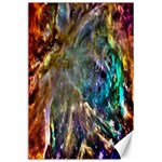 Colorful Cosmos Canvas 24  x 36 