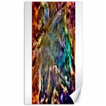 Colorful Cosmos Canvas 40  x 72 