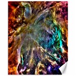 Colorful Cosmos Canvas 11  x 14 