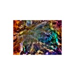 Colorful Cosmos 5  x 7  Desktop Photo Plaque 