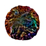 Colorful Cosmos 15  Premium Flano Round Cushion 