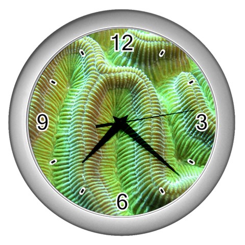 Brain Coral Wall Clock (Silver) from ArtsNow.com Front