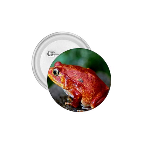 Red Frog 1.75  Button from ArtsNow.com Front