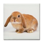 Bunny ceramic wall tile / Tile Coaster / Tile trivet